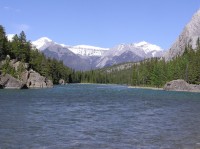 P6190031 