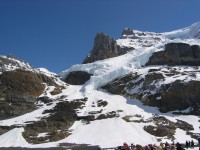 IMG_0061 