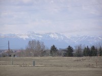 P4220032 
