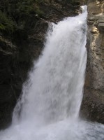 P8280031 