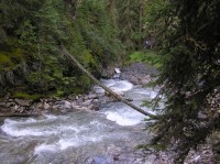 P8280047 